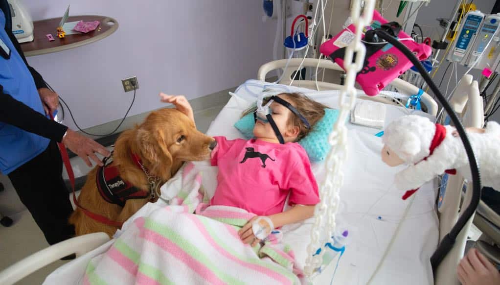 Child life leverages all sorts of distractions and pain-relieving activities during your child's stay. One of our favorite activities is our weekly therapy dog visit.