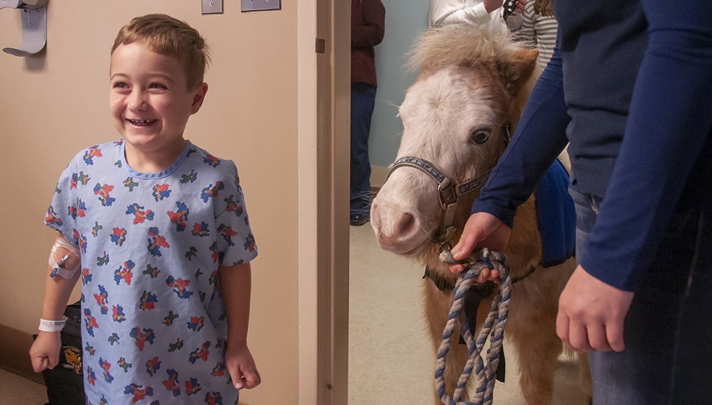 Special activities such as our annual therapy horse visits will keep your child smiling and help to reduce fear of the hospital setting during your child's stay.