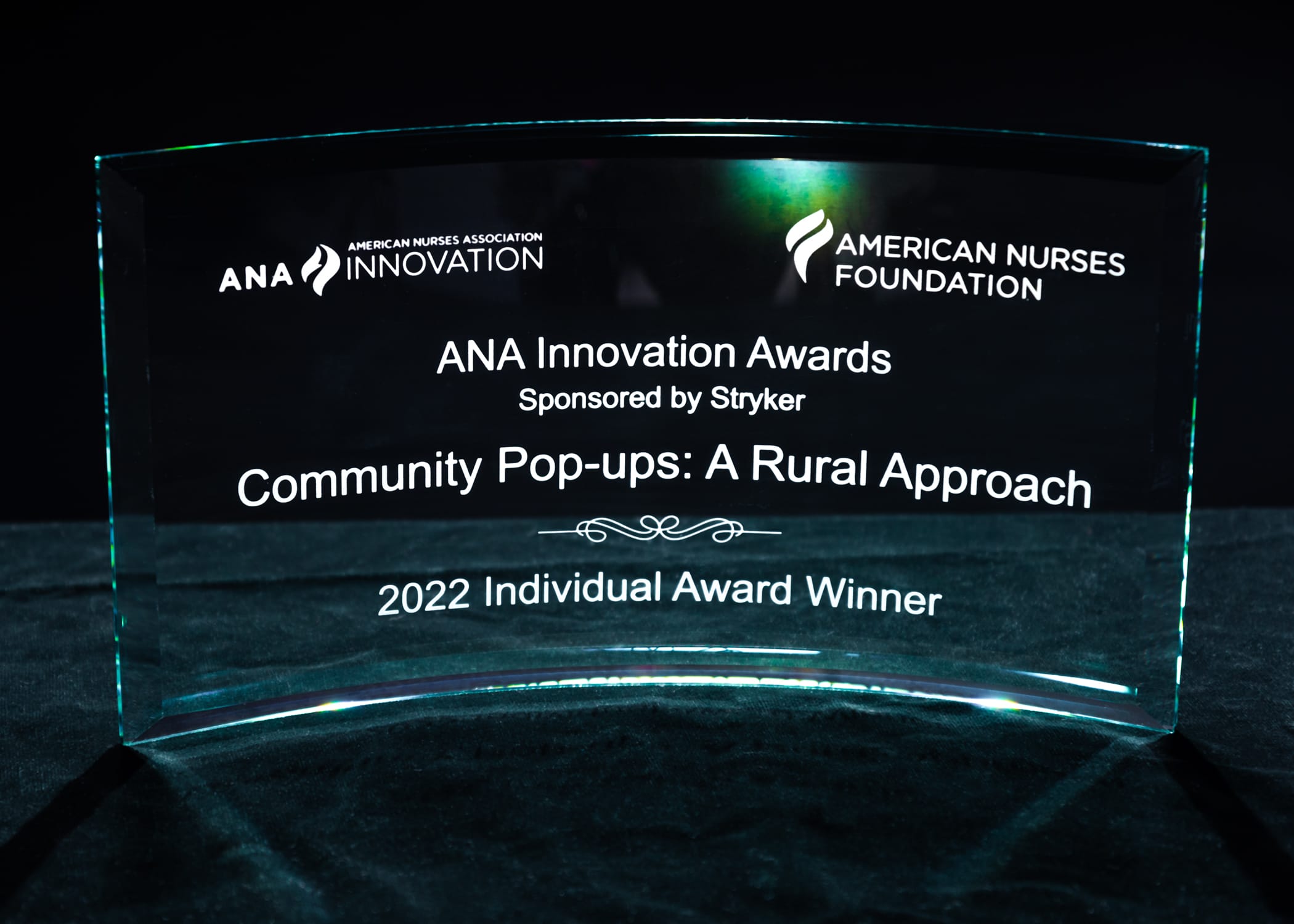 The 2022 Individual Award for ANA Innovation Awards