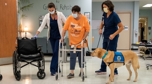 A care team, along with ECU Health's therapy dog Clive, walk through rehab with a patient.