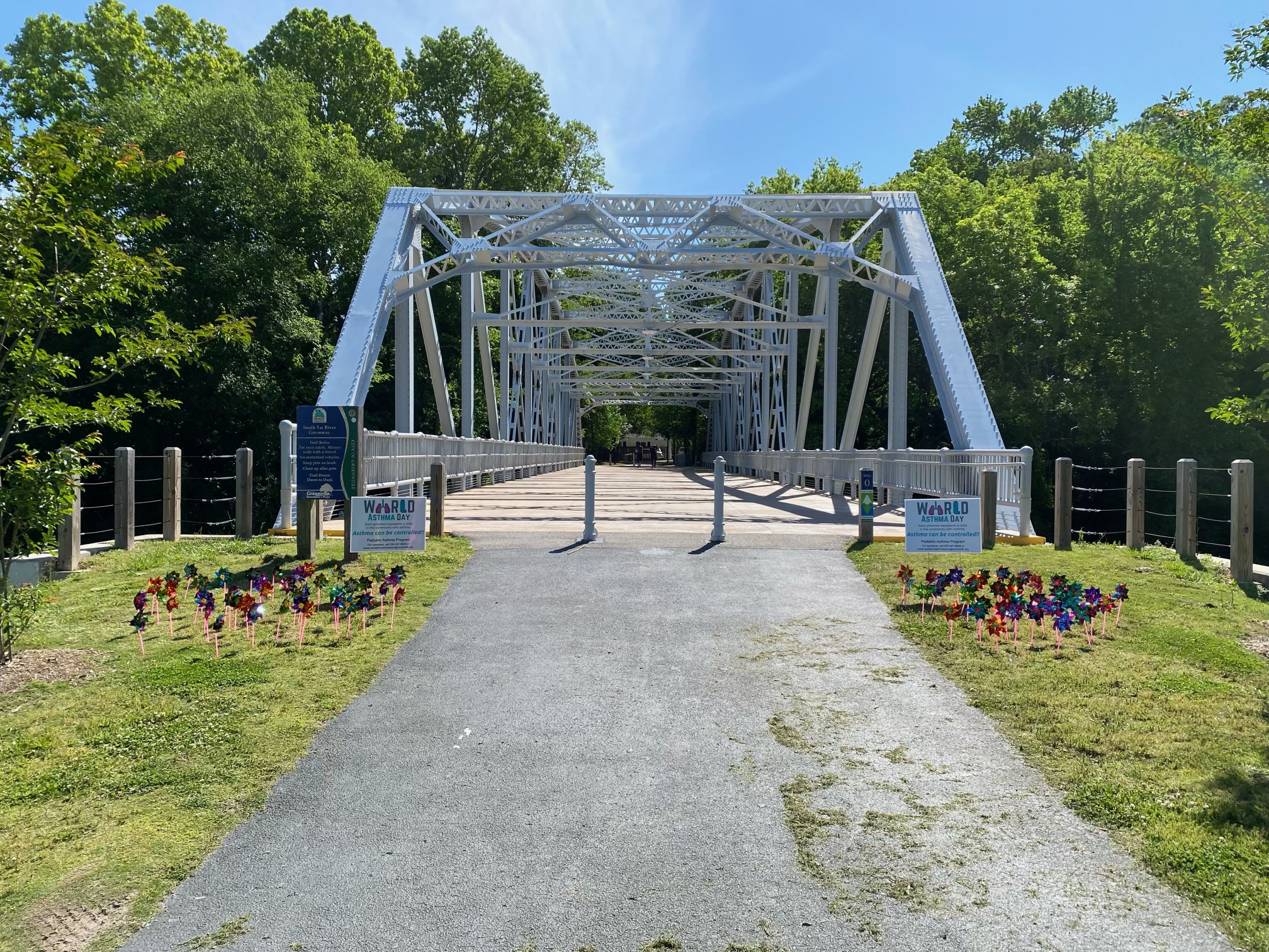 Grass leading to a walking bridge in Greenville is decorated with small pinwheels, each one recognizing a pediatric asthma patient seen at Maynard Children's Hospital.
