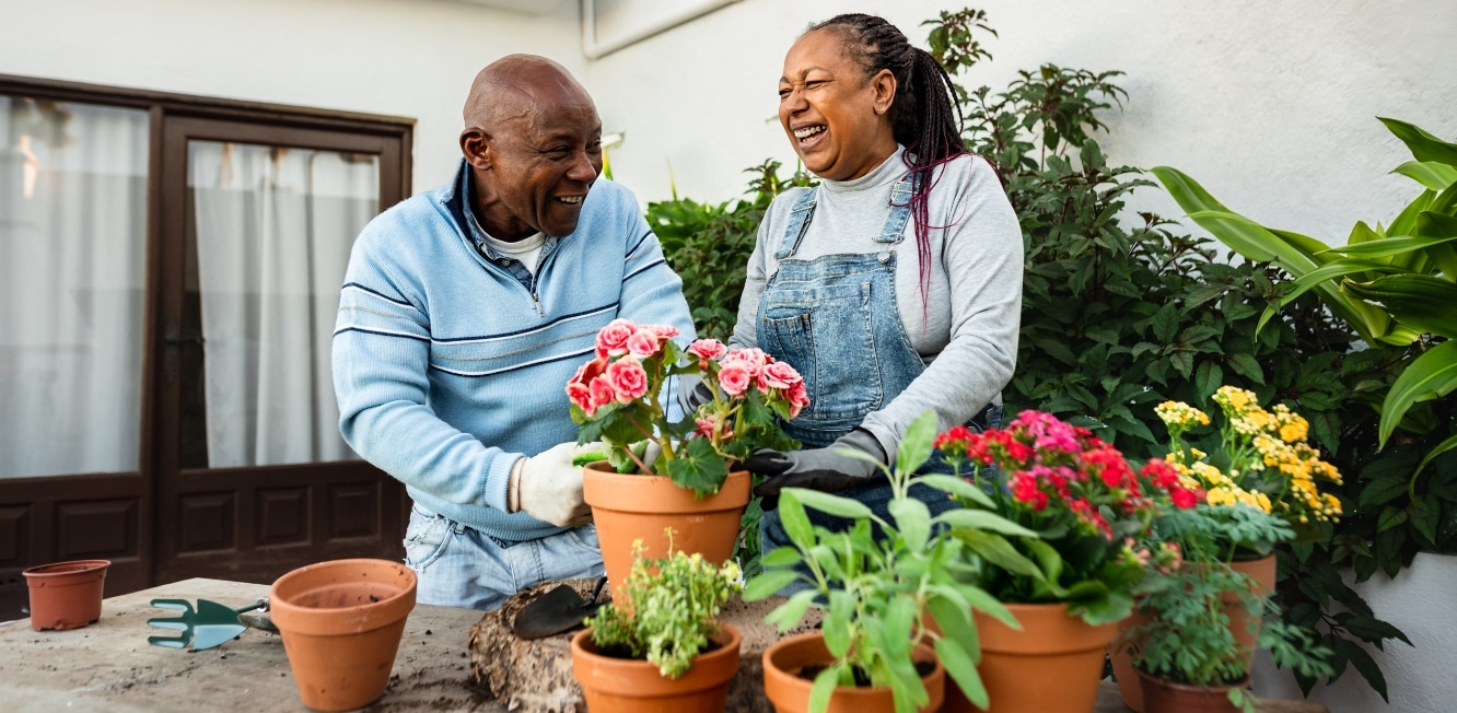 A happy senior couple garden together at home.