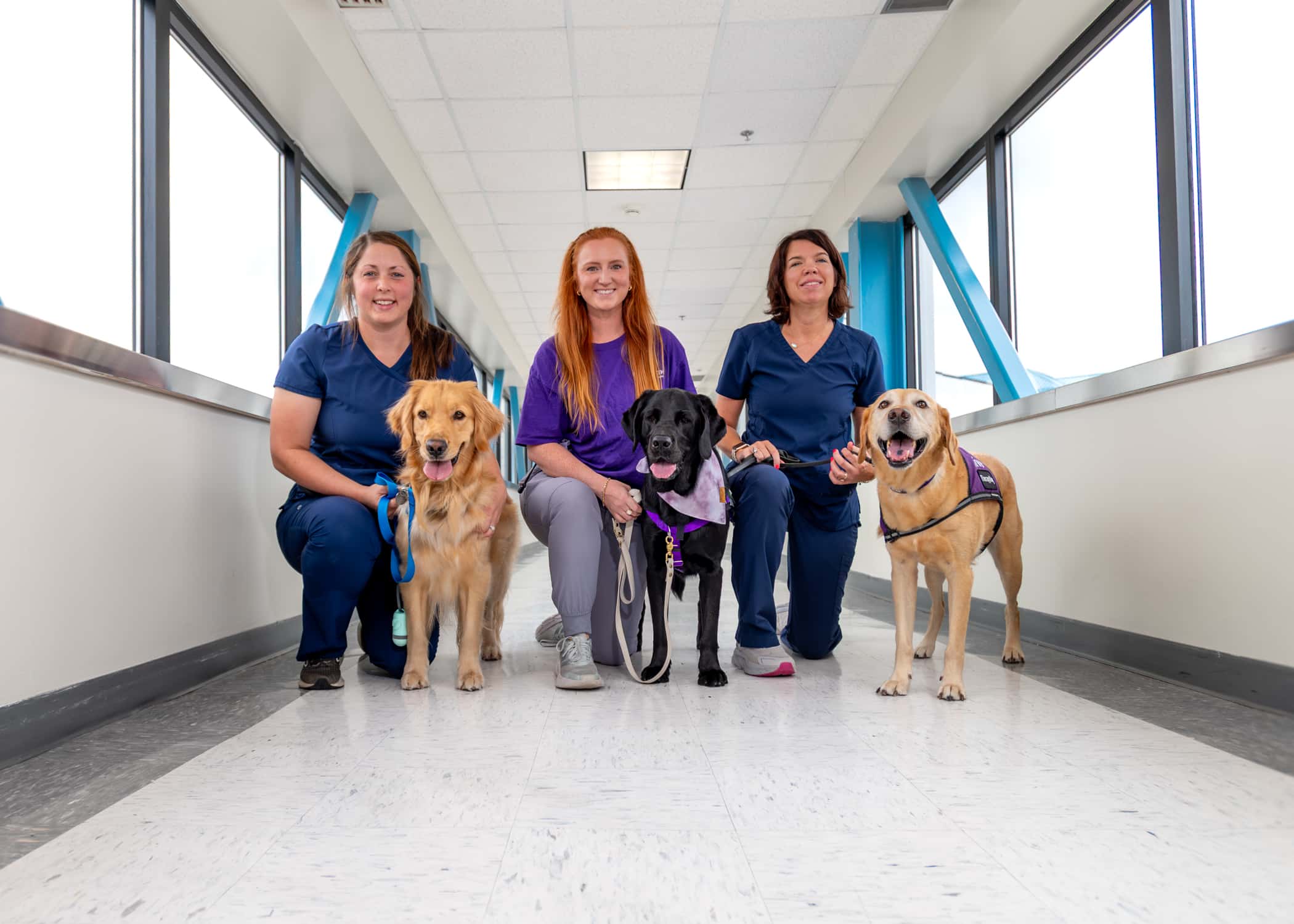 ECU Health's facility dogs pose for a photo with their handlers.